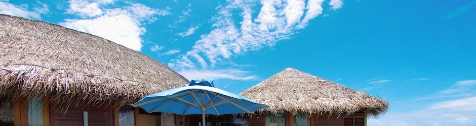 AngeliqueLawler Travel