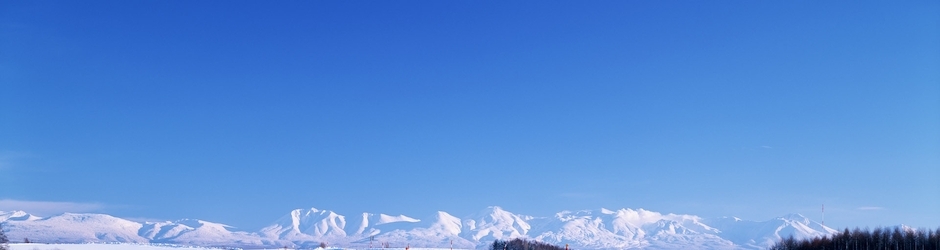 Pakistan Cricket Team