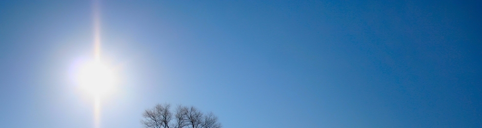 Gain Weight For Skinny Women