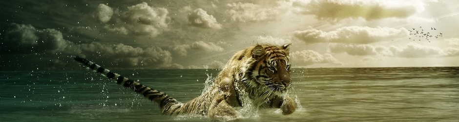 Cartoons for Children