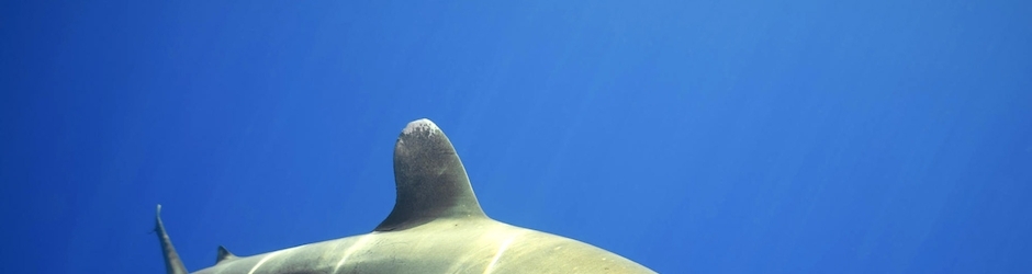 The Best Years of Our Lives