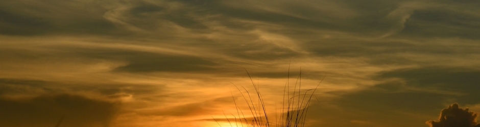 The Night of the Hunter