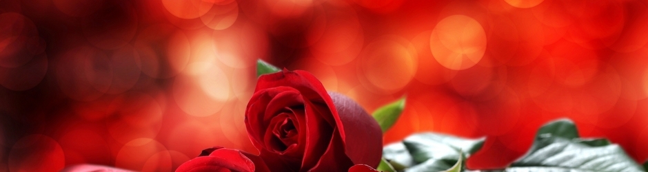 Pac Man Championship Edition DX