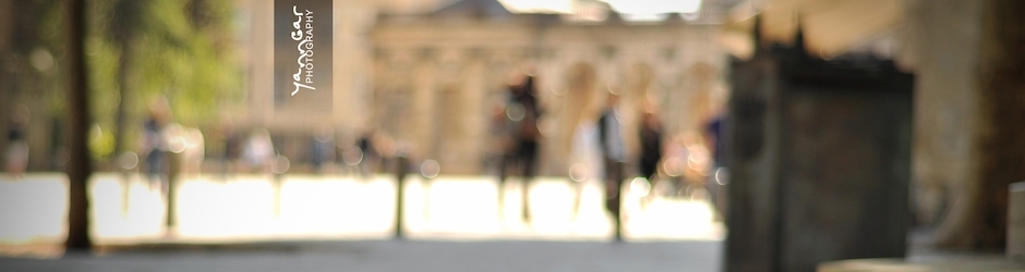 Uncharted  Drake s Fortune