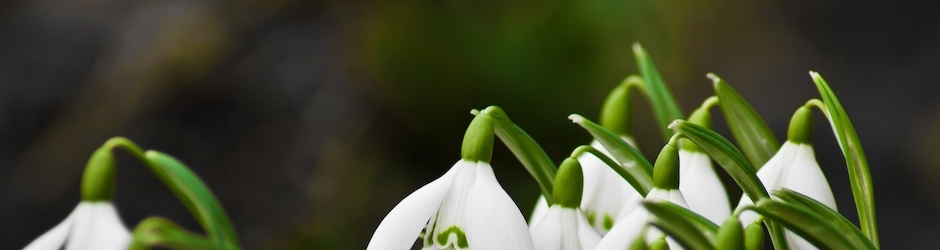 Tom Clancy s Splinter Cell  Chaos Theory