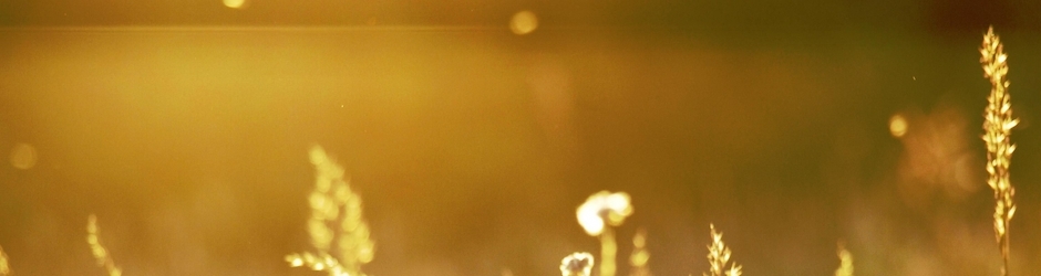 The Elder Scrolls V  Skyrim