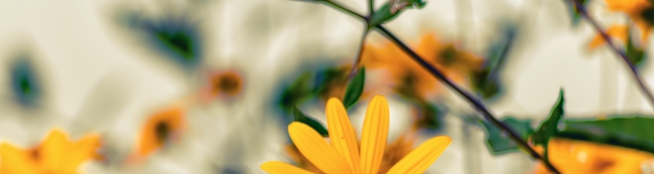 Tom Clancy s Splinter Cell  Chaos Theory