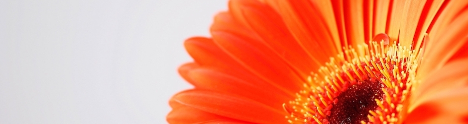 Sid Meier s Alpha Centauri