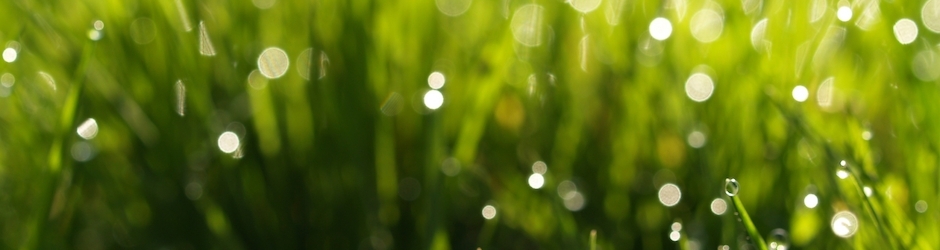 Call of Duty  Modern Warfare 3