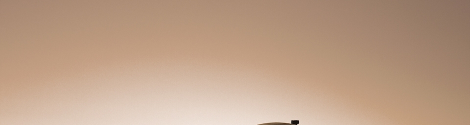 Don t Starve  Pocket Edition