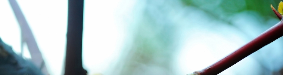 Life is Strange  Episode 3   Chaos Theory