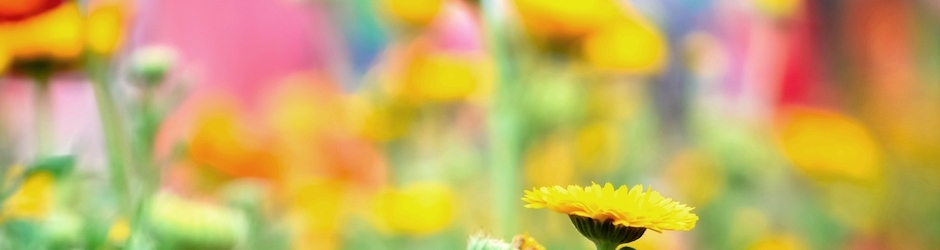 Warhammer 40,000  Armageddon