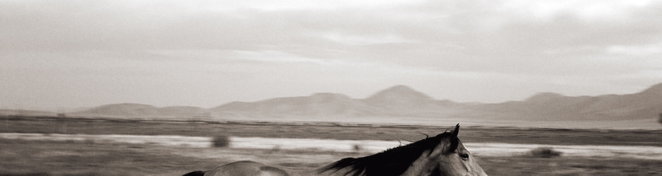 Command & Conquer  Red Alert