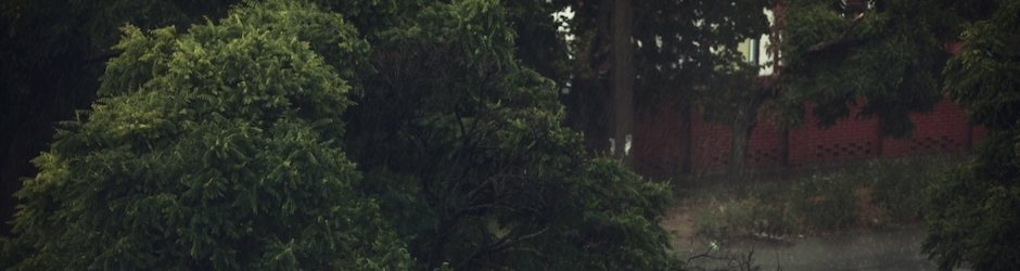 Adidas Noel Gallagher