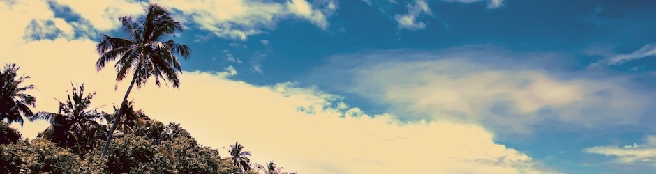 Euro Truck Simulator