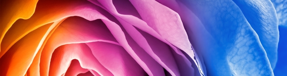 Watch Sports Tv Online