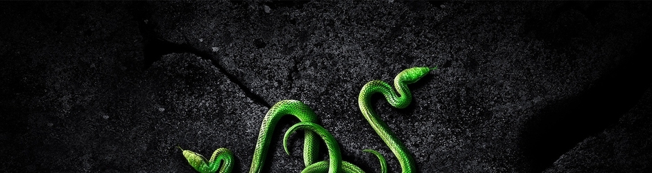 Pasta Eating Challenge