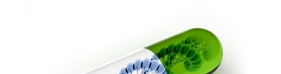 Self Defense Techniques