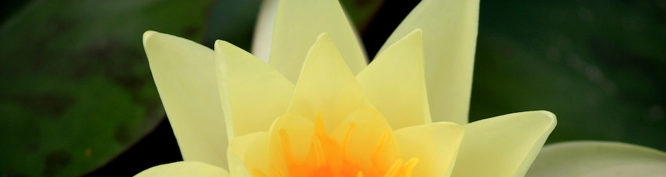 Self Defense For Kids