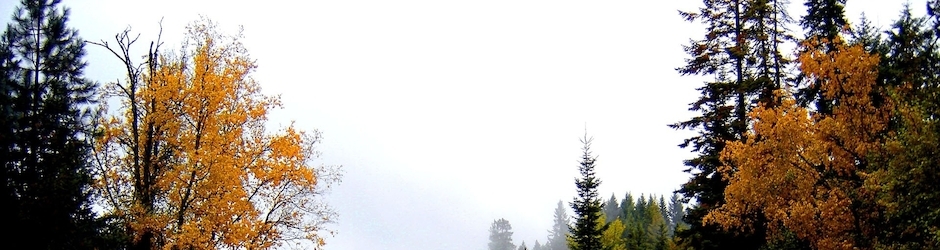 Undercut Hairstyle Men