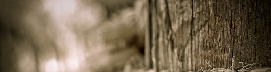 Japanese Games Prank