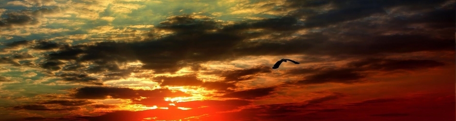 Japanese Games Prank