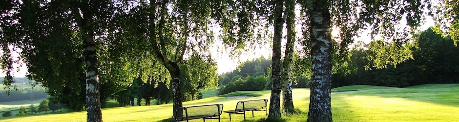 Online Games For Free