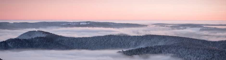 Nausicaä of the Valley of the Wind