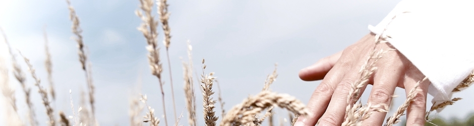 To Kill a Mockingbird