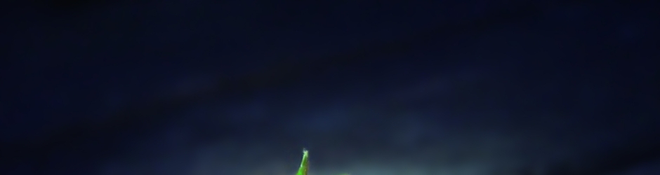 The Fellowship of the Ring