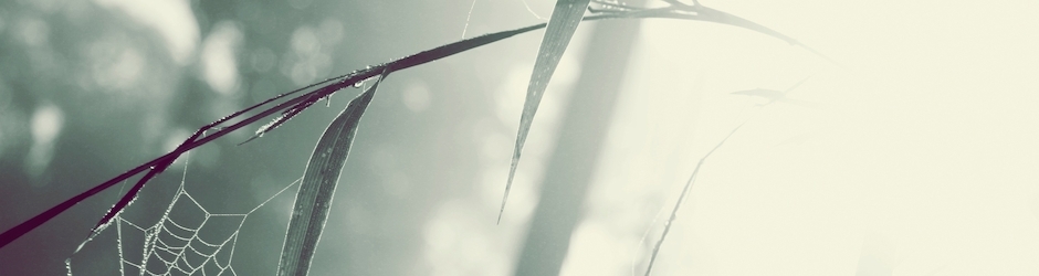 The Good the Bad and the Ugly