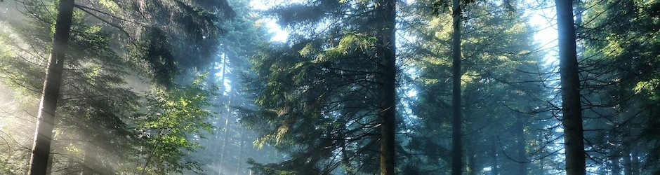 Peppa Pig At The Beach
