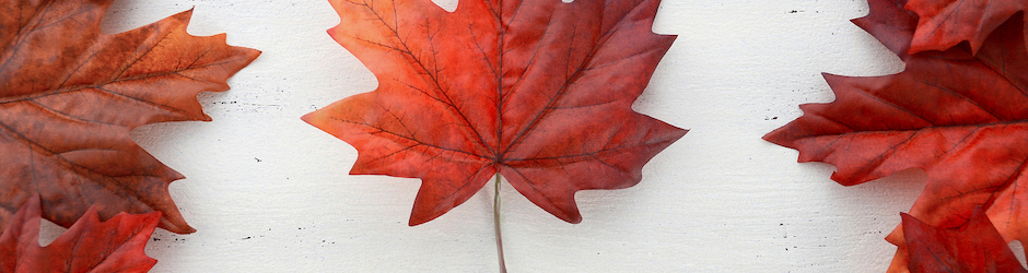 Canadian Discount Network