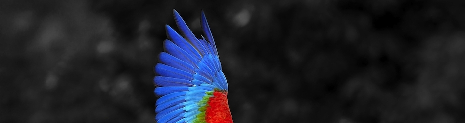 Peppa Pig L Ospedale