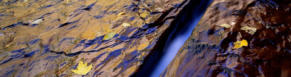 Peppa Pig One Episode