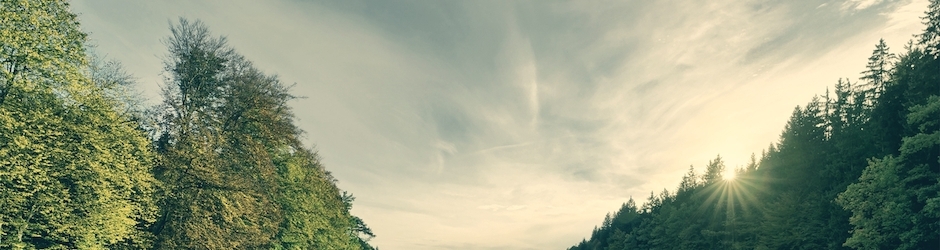 Peppa Pig Opening Song