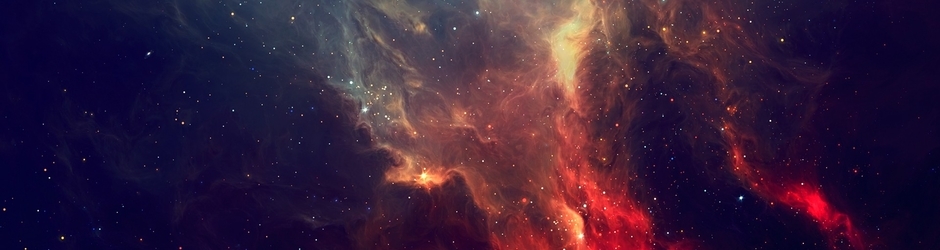 The Roadkill Pictures