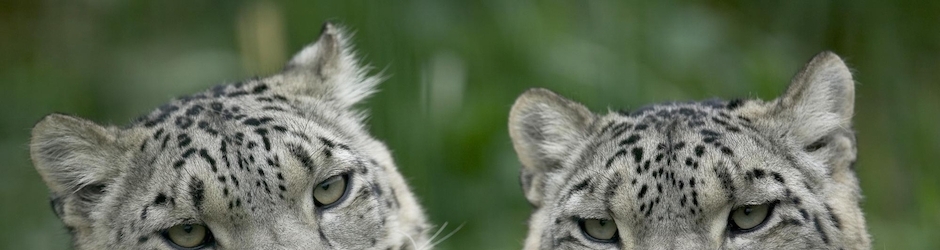 Peppa Pig Sol Mar Y Nieve