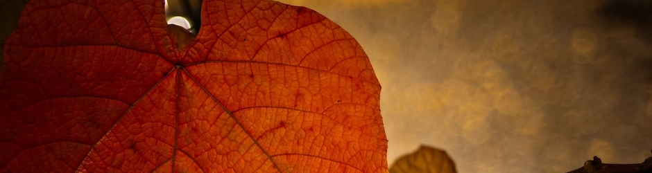 Peppa Pig 3 Hours Long