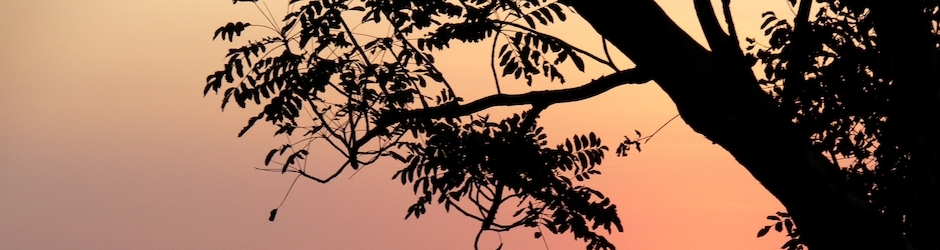 Peppa Pig Compilation 7