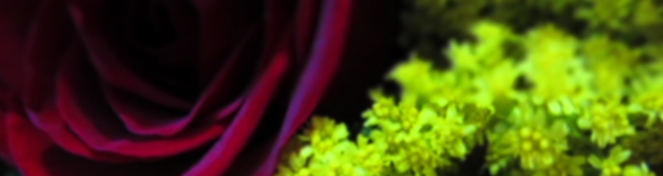 A Minecraft Server To Join