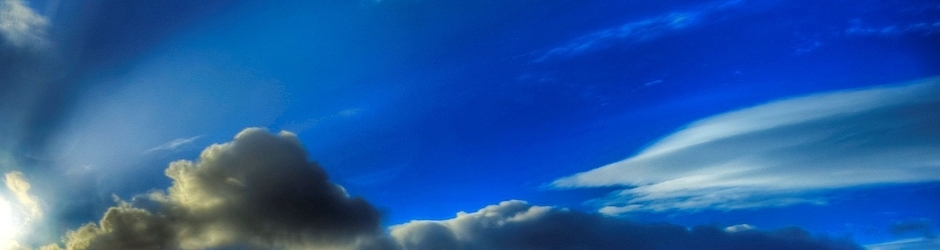 Minecraft Ender Dragon