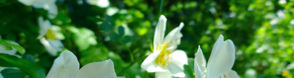 Minecraft Factions Ep 1