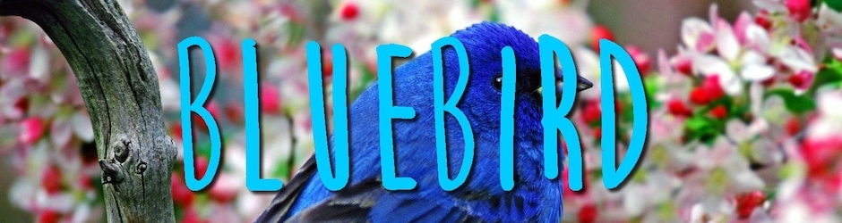 Bluebird