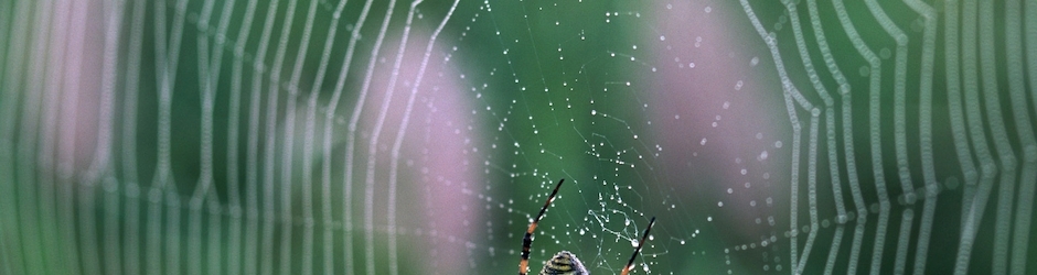 Minecraft Big B Statz