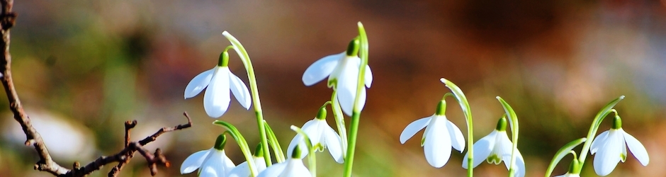 Minecraft Command Block