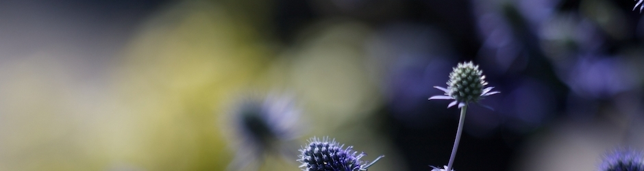 Minecraft Explodingtnt