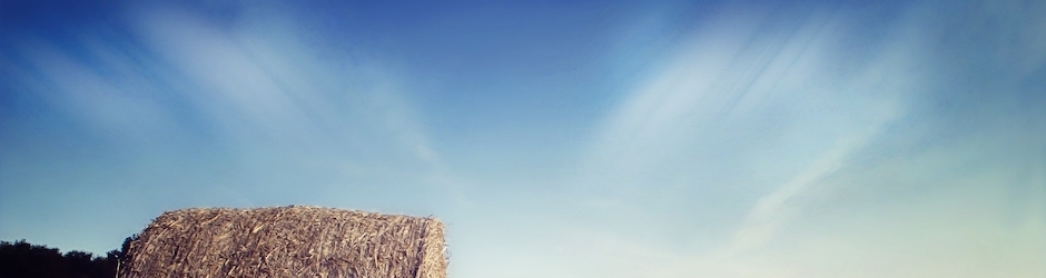 J Rice Minecraft Songs