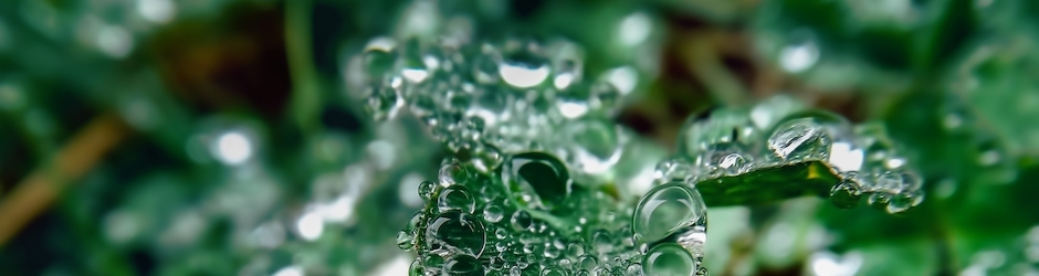 Minecraft Little Lizard Gaming