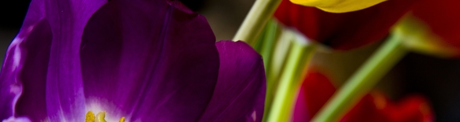 Sony Xperia M Minecraft